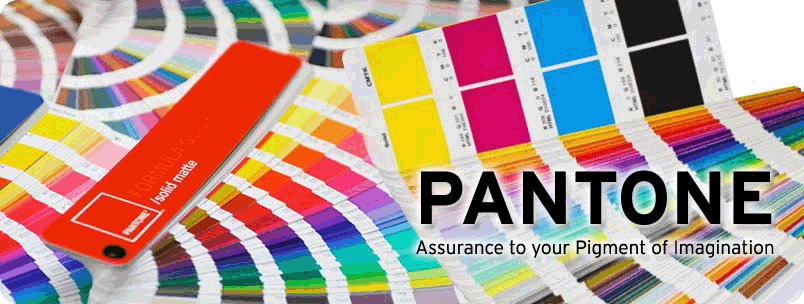 Concept of the pantone color